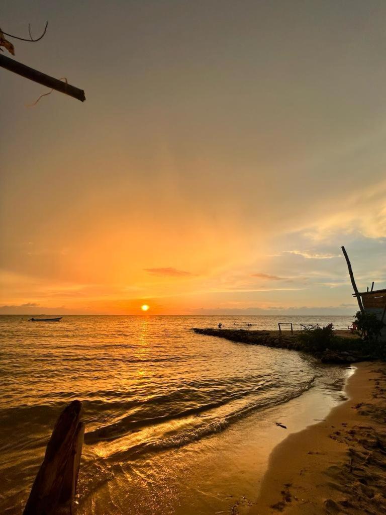 Hostel Beach House Rincón 外观 照片