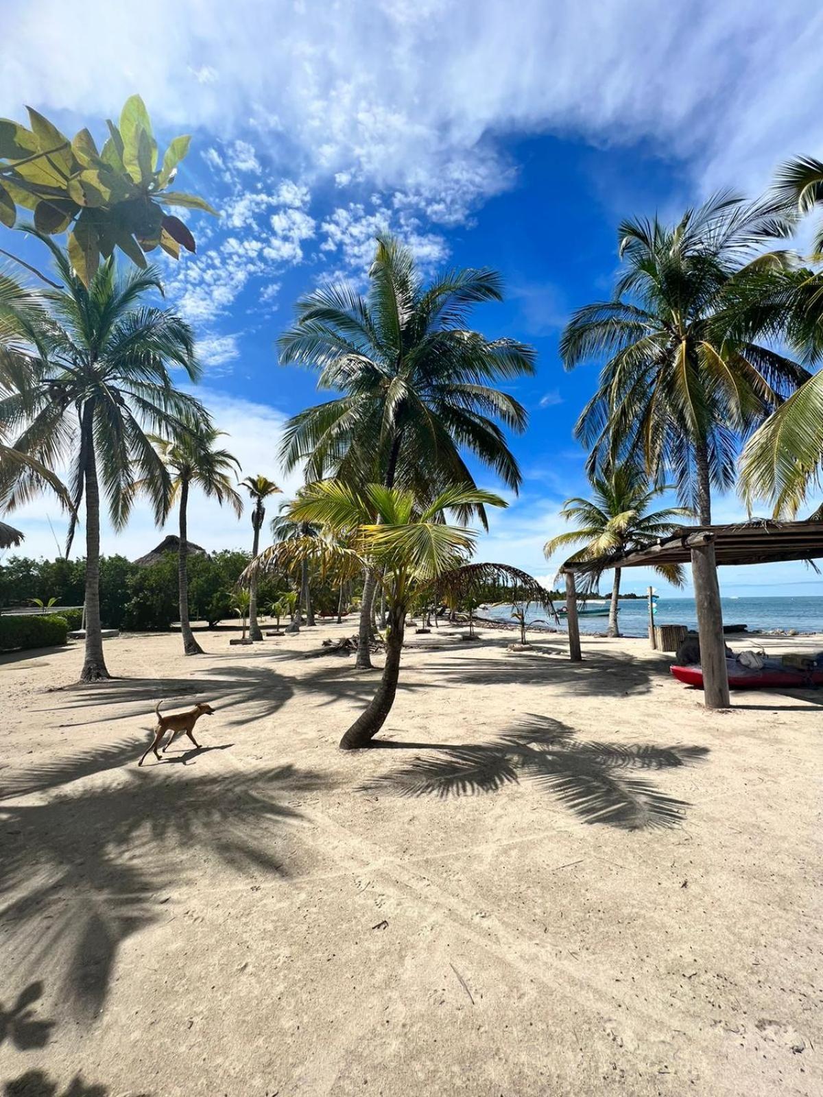 Hostel Beach House Rincón 外观 照片